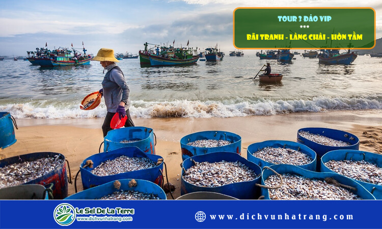 Tour 3 đảo VIP Bãi Tranh - Làng Chài - Hòn Tằm 